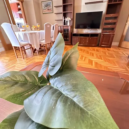 Apartmán Forty Two Zadar