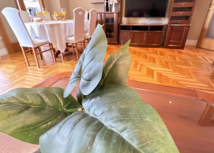 Apartman Forty Two Zadar